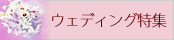 ウェディング特集